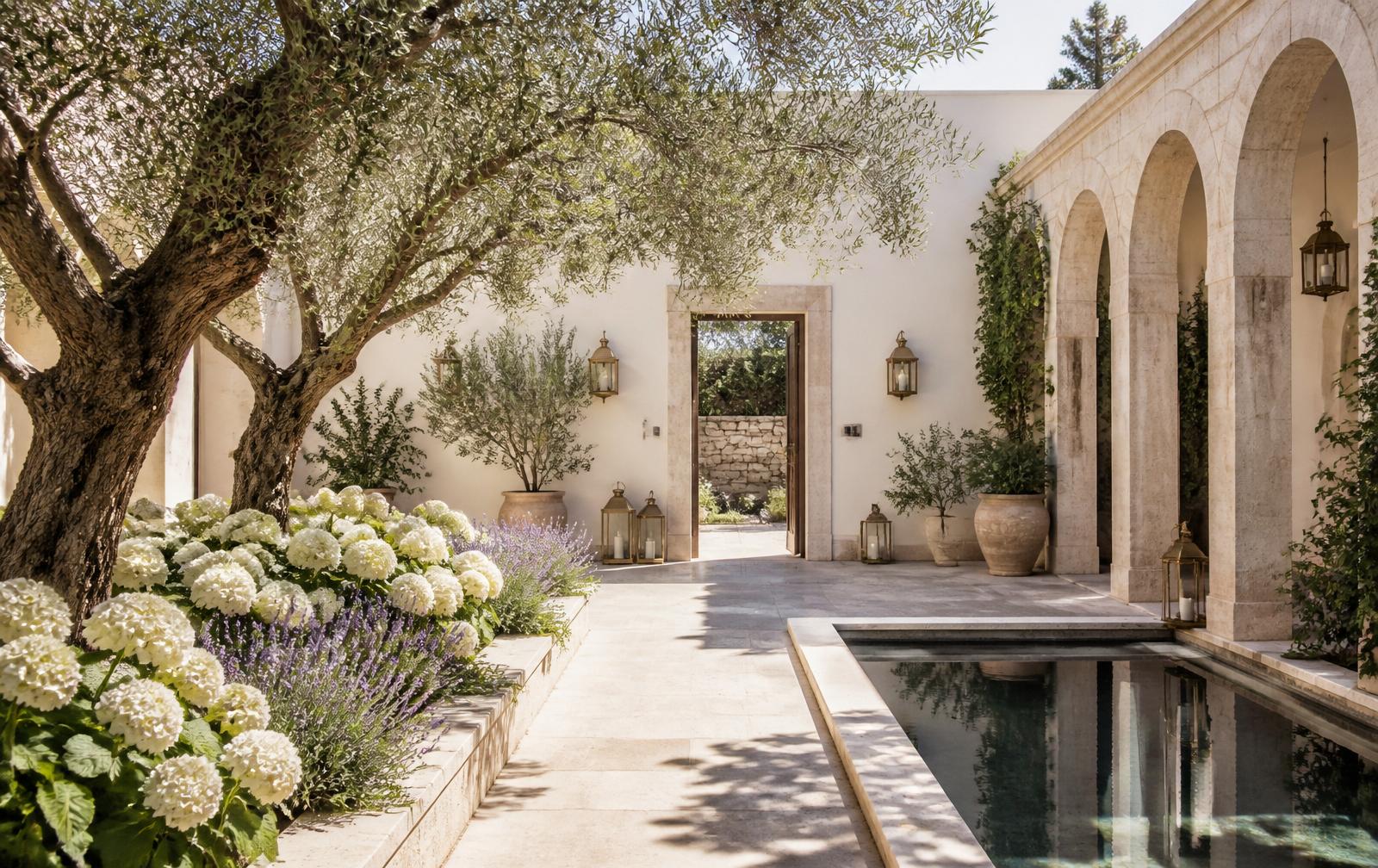 A stone courtyard with a reflection pool beneath an old olive tree
